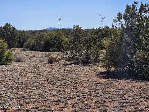 8299 W Clear Fork Loop, Williams, AZ 86046 photo 7