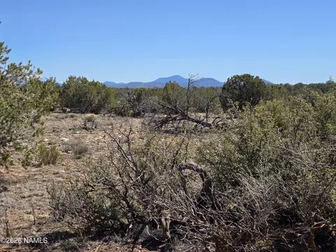 8299 W Clear Fork Loop, Williams, AZ 86046 photo 5
