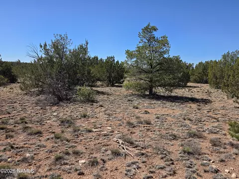 8299 W Clear Fork Loop, Williams, AZ 86046 photo 15