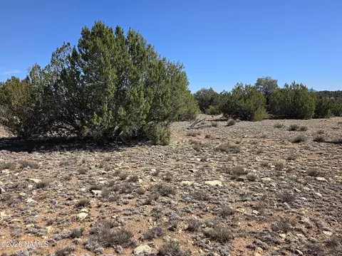 8299 W Clear Fork Loop, Williams, AZ 86046 photo 16