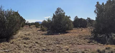 4454 E Palomar Dr, Williams, AZ 86046 photo 23