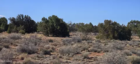 4454 E Palomar Dr, Williams, AZ 86046 photo 26
