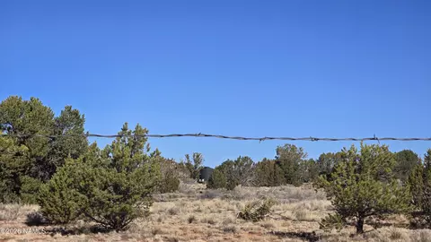 4454 E Palomar Dr, Williams, AZ 86046 photo 31