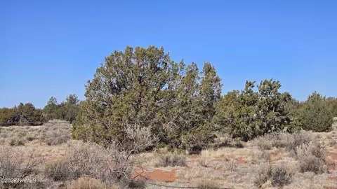 4454 E Palomar Dr, Williams, AZ 86046 photo 38