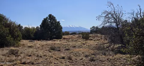 4454 E Palomar Dr, Williams, AZ 86046 photo 21