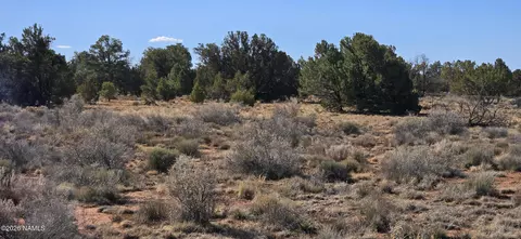 4454 E Palomar Dr, Williams, AZ 86046 photo 27
