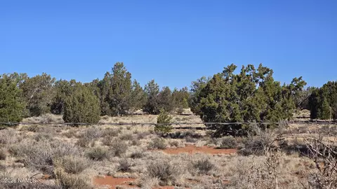 4454 E Palomar Dr, Williams, AZ 86046 photo 34