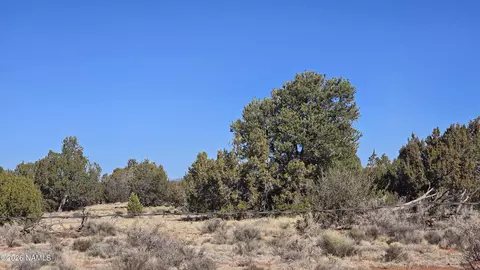 4454 E Palomar Dr, Williams, AZ 86046 photo 36