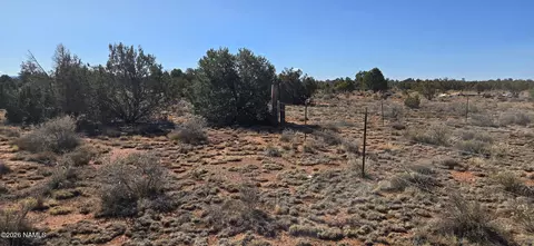 4454 E Palomar Dr, Williams, AZ 86046 photo 28
