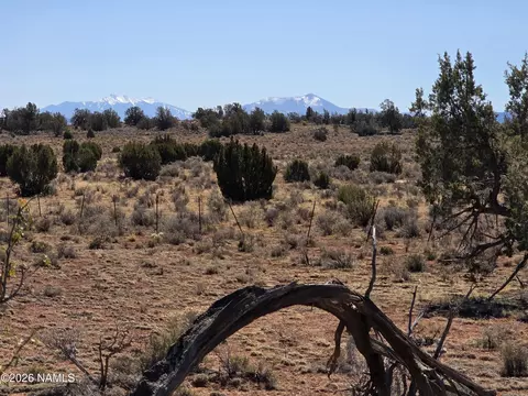 1153 E Indian Meadows Rd, Williams, AZ 86046