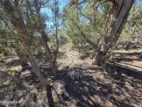Parcel #205-33-005, Williams, AZ 86046