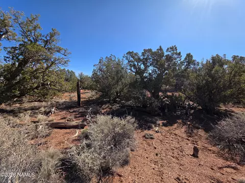 2937 S Fair Oaks, Williams, AZ 86046