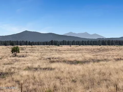 13373 E Dog Haven Pl, Parks, AZ 86018
