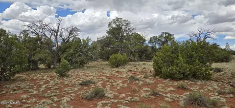 5666 Lasso Loop, Williams, AZ 86046 photo 6