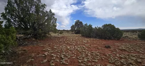 5666 Lasso Loop, Williams, AZ 86046 photo 17