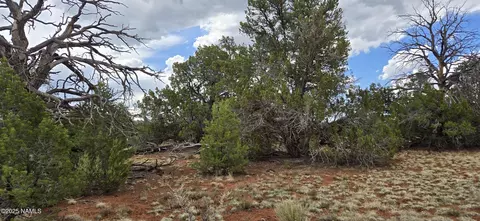 5666 Lasso Loop, Williams, AZ 86046 photo 21
