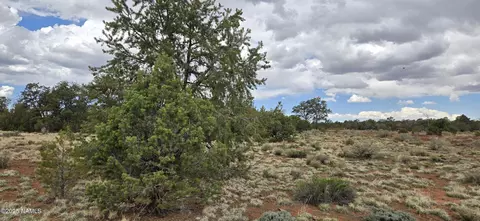 5666 Lasso Loop, Williams, AZ 86046 photo 22