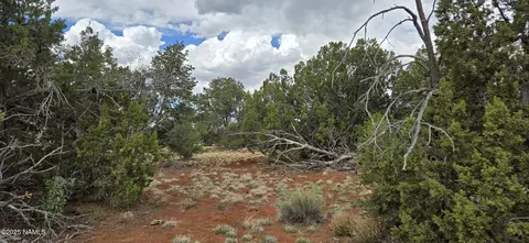 5666 Lasso Loop, Williams, AZ 86046