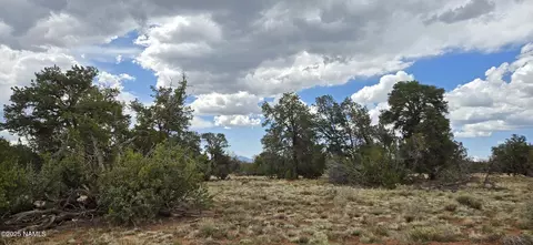 5666 Lasso Loop, Williams, AZ 86046 photo 24