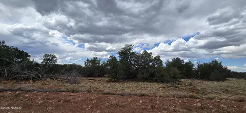 5666 Lasso Loop, Williams, AZ 86046 photo 28