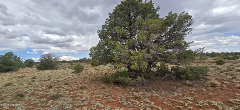 5666 Lasso Loop, Williams, AZ 86046 photo 20