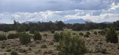5666 Lasso Loop, Williams, AZ 86046 photo 13