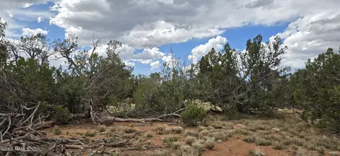 5666 Lasso Loop, Williams, AZ 86046 photo 7