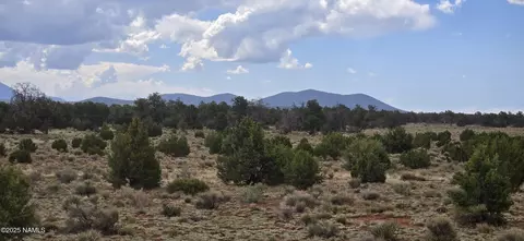 5666 Lasso Loop, Williams, AZ 86046 photo 12