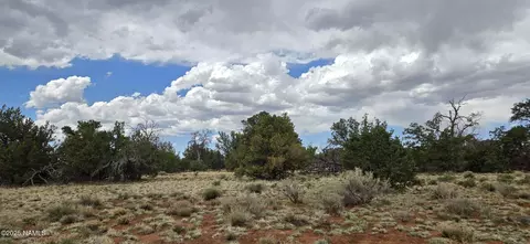 5666 Lasso Loop, Williams, AZ 86046 photo 9