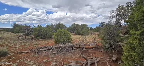 5666 Lasso Loop, Williams, AZ 86046 photo 16