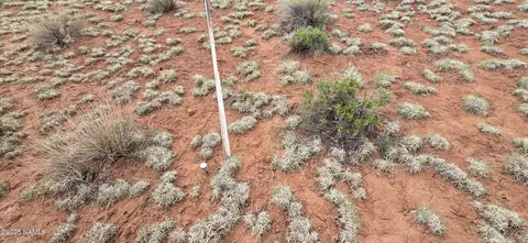 5666 Lasso Loop, Williams, AZ 86046 photo 5