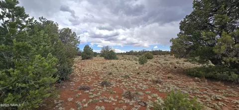 5666 Lasso Loop, Williams, AZ 86046 photo 18