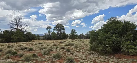 5666 Lasso Loop, Williams, AZ 86046 photo 23