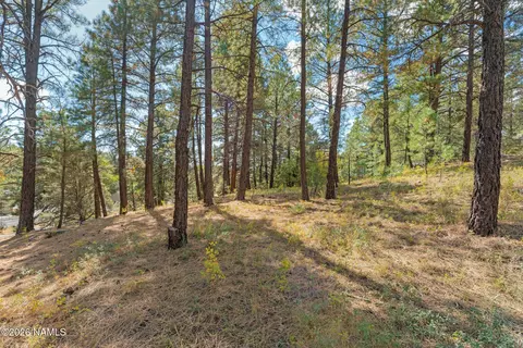 3407 S Litzler Dr, Flagstaff, AZ 86005