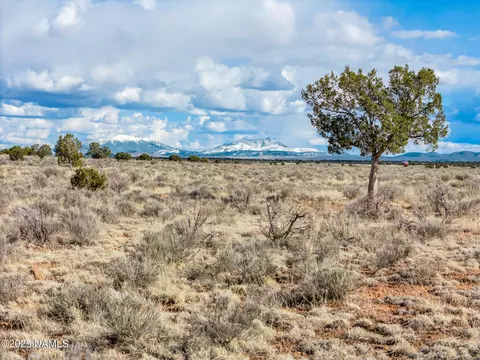 1462 Red Butte Rd, Williams, AZ 86046