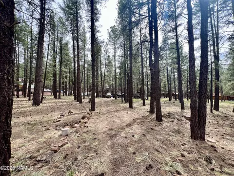 7350 E Jolly Rogue Ln, Williams, AZ 86046