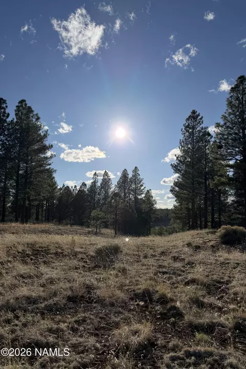 4870 E Gandalf Ln, Flagstaff, AZ 86004