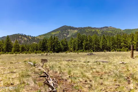 18066 Crowley Trl, Flagstaff, AZ 86001