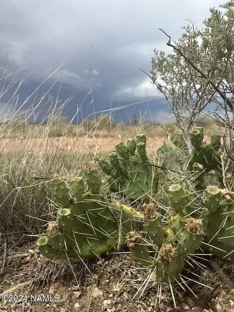 1140 E Valle Rd #5, Williams, AZ 86046 photo 3