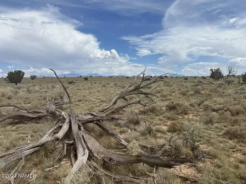 1140 E Valle Rd #5, Williams, AZ 86046 photo 14