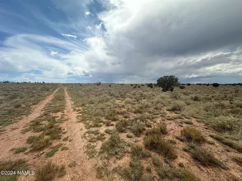1224 E Valle Rd #8, Williams, AZ 86046 photo 3