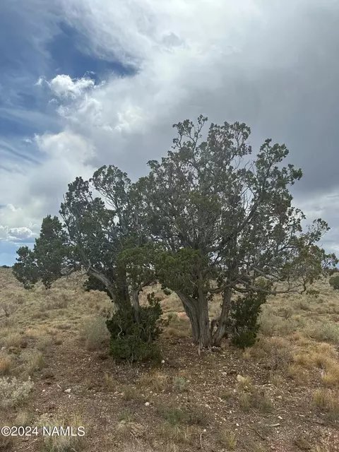 1224 E Valle Rd #8, Williams, AZ 86046 photo 7