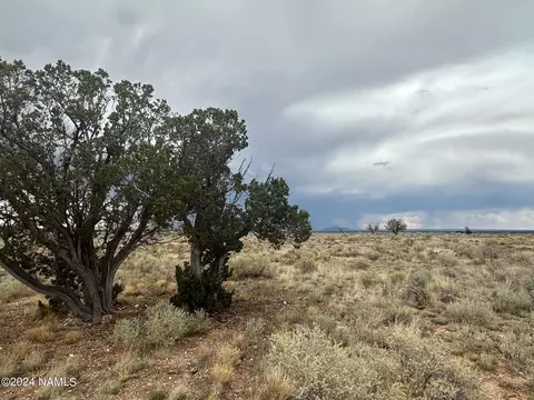 1224 E Valle Rd #8, Williams, AZ 86046