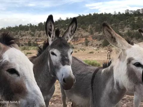 10747 Espee Rd, Williams, AZ 86046