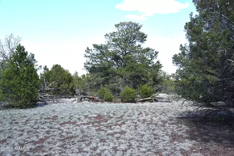 20203017 Griffin Rd, Williams, AZ 86046