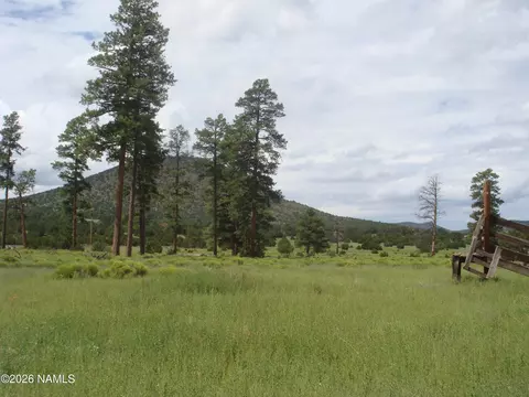 00 E Soaring Eagle Rd, Williams, AZ 86046