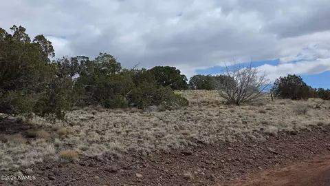 6371 E Roper Cir, Williams, AZ 86046 photo 12