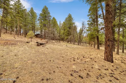 7804 E Long Bow Dr, Williams, AZ 86046 photo 4