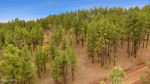 7804 E Long Bow Dr, Williams, AZ 86046 photo 10