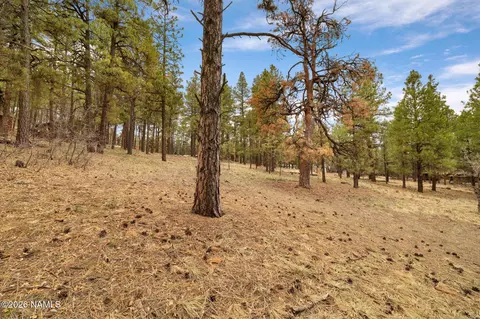 7804 E Long Bow Dr, Williams, AZ 86046 photo 6